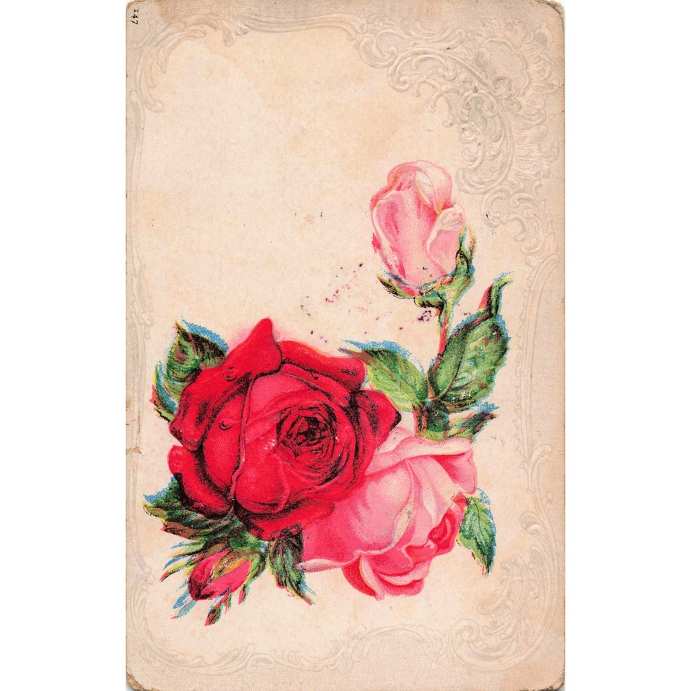 Antique Embossed Postcard Red Pink Roses Flowers Floral Botanical Art c1910